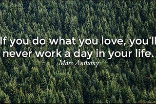 Do what you love