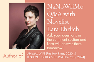 Reflecting on NaNoWriMo 2023 with Novelist Lara Ehrlich