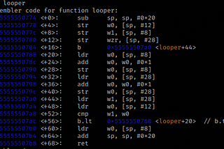 ARM 64 Assembly Series — Branch