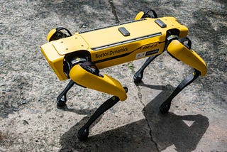 Coming to a Dog Park near you: A Robot Dog