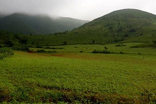 Enjoy the earthy smell of nature amidst the rainy season in the pictographic valley of Koraput