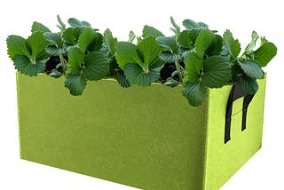 Increasing Vegetables in Self-Watering Storage units