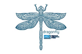 Apply to Dragonfly: The NYC Bootcamp for Womxn & Non-Binary Founders