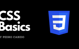 CSS logo