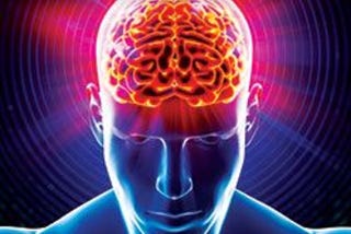 Genetic Study Sheds Light on Changes That Shaped Human Brain Evolution.