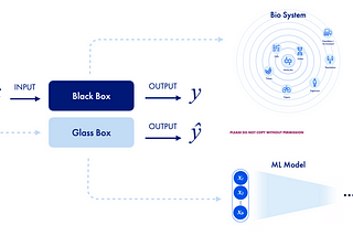 Setting the record straight on explainable AI : (2nd out of N) Are ML models really black boxes?