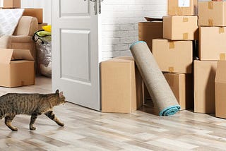 The Purrfect Investment: How Cat Ownership is Affecting Home Prices in the United States