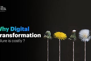 Why Digital Transformation Failure is costly ? Digital marketing, Thedigitalfellow, tdf