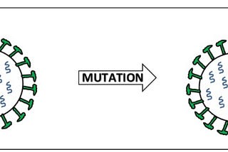 Explainer: How & Why Do Viruses Mutate?