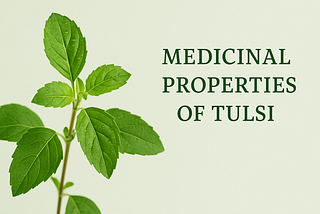 Tulsi: The Miracle Herb Every Bengali Grows But Few Truly Know