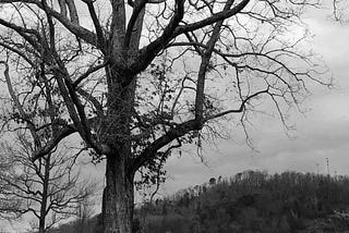 Solitude: My Only Option