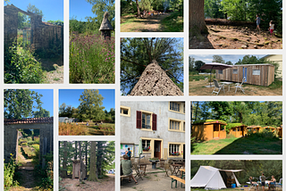 Ecolonie: 2 weeks in an ecological community