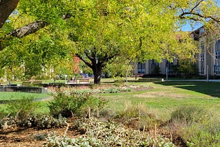 How Southern Oregon University is Supporting Biodiversity on Campus