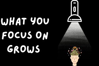 What you focus on grows.