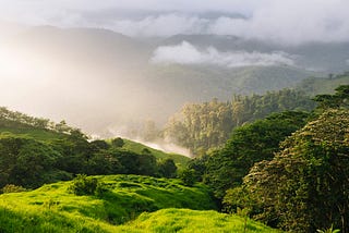 A pucture of rising sun in Sierra Nevada de Santa Marta, Colombia.