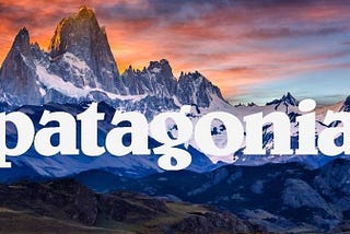 Brand Review: Patagonia pt.1