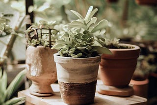 DIY Plant Pot Stand: Step-by-Step Guide
