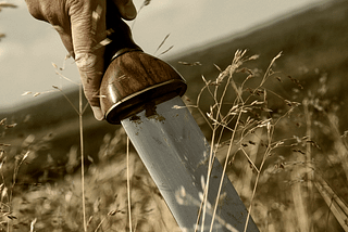 Rediscovering the Legacy: Unveiling the Pompeii Gladius Sword.