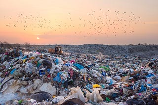 What Possible Difference Could It Make, Vol. 4: Reusable Water Bottles