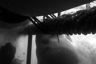 SWIM WITH THE FISHES: GREAT WHITE SHARK CAGE DIVING