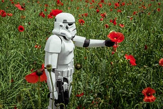 A Stormtrooper grabbing a poppy