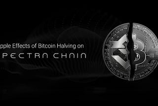 The Ripple Effects of Bitcoin Halving on Spectra Chain