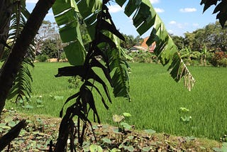 The Filipino Pabasa: I Sing A Little Prayer for You