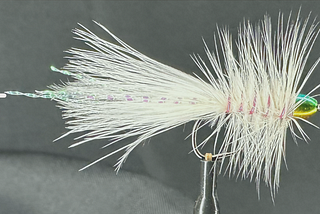 The Crystal Bugger Fly