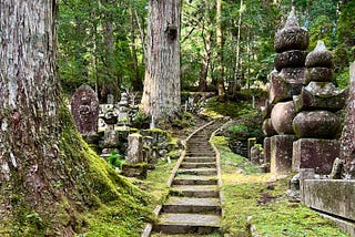 Narrow stone path leading through trees, graves and moss.
