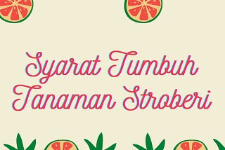 🍓SYARAT TUMBUH TANAMAN STROBERI🍓