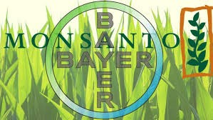 The Invasive Other: GMOs and Africa.
