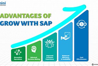 GROW with SAP: Features