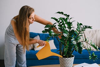 How To Raise a Feminist Houseplant