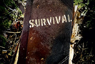 Unexpected emergency Survival — What To look for In a very Fantastic Survival Knife