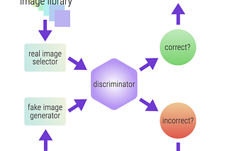 Schematic diagram of generative adversarial network, depicting inputs and outputs