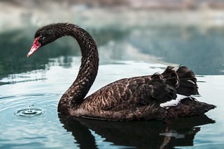 Motivations for Scenario Planning in Addressing Black Swans like COVID-19