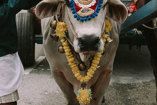 Tests are closer to sacred cows than code