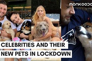 Puppy Adoption: A Catalogue Of Puppies Who Went Home With Celebs!