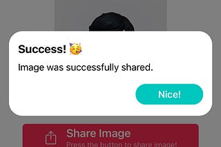 Sharing Images With UIActivityViewController & UIActivityItemSource