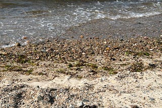 Kinds of Times: Different Rates of Change