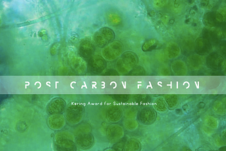 Your clothes can breathe. Interview with Post Carbon Lab on living, algae-containing, fabrics.