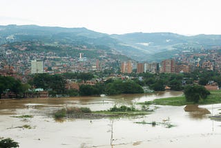 Un matorral invadido.
