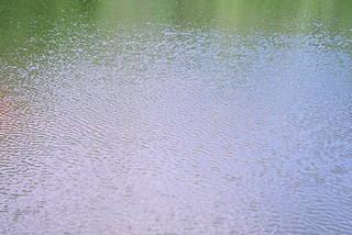 Floating on a Big Pond