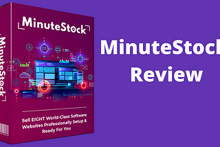 MinuteStock Review — Eight high-value software businesses in a box.