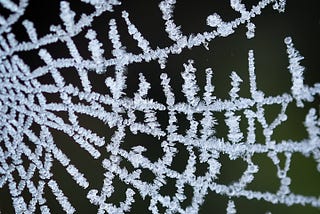 Jack Frost Brings Winter Magic