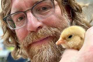 Selfie of a man with shoulder-length red hair and a beard, with a smattering of white hairs throughout. He is wearing brown glasses and looking at his hand, which is in the foreground of the camera. In his hand is a baby chicken, with only its fluffy yellow head visible. The background is a blurred classroom.