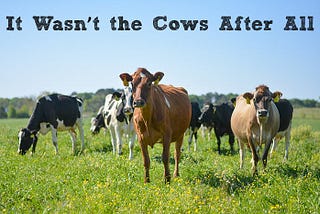 It Wasn’t the Cows After All