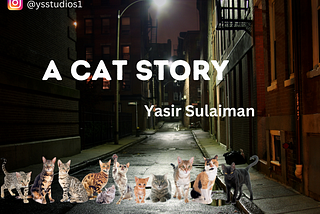 A Cat Story