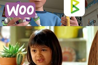 Running BTCPay + WooCommerce on a single server for $4/month