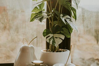 What does your home smell like?